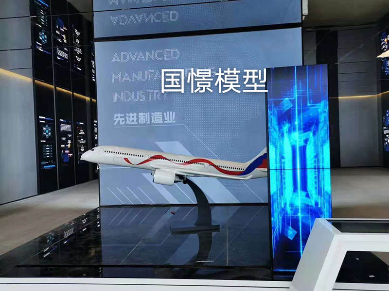 龙南县飞机模型