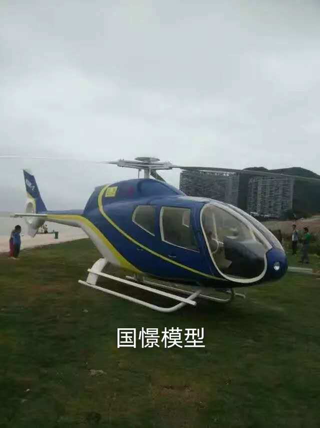 龙南县飞机模型