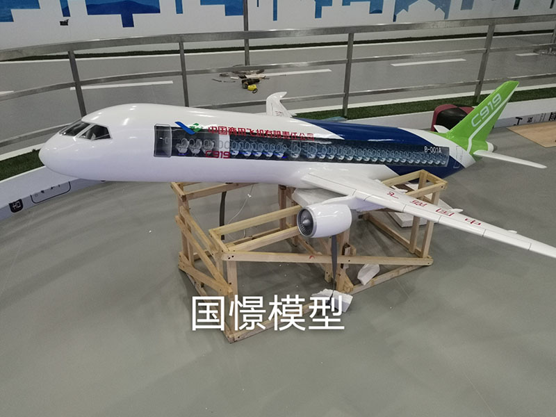 龙南县飞机模型