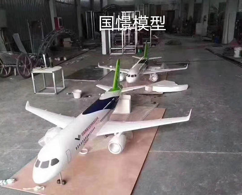 龙南县飞机模型