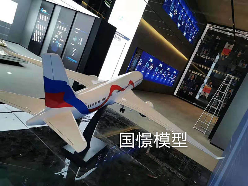 龙南县飞机模型