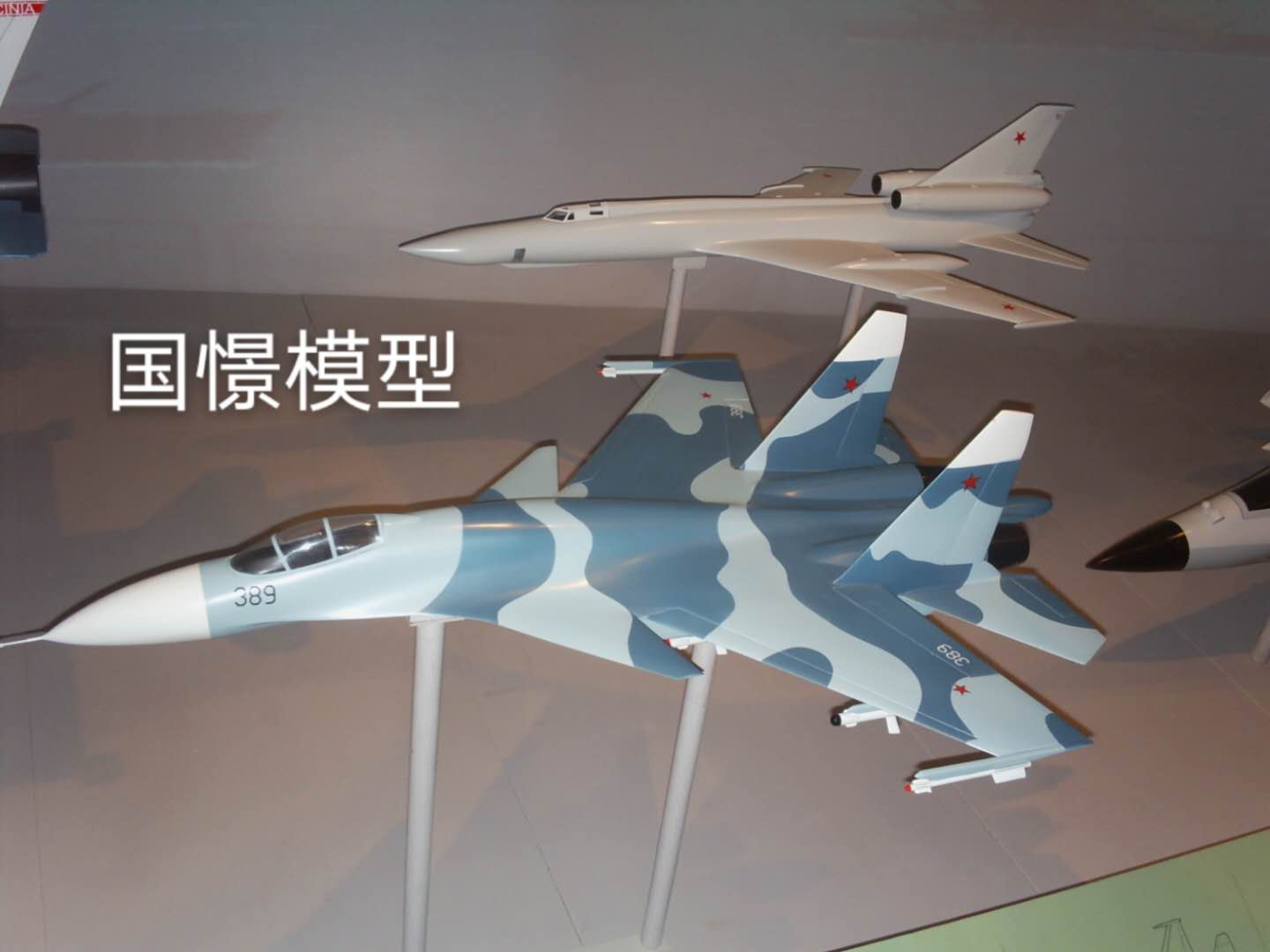 龙南县军事模型
