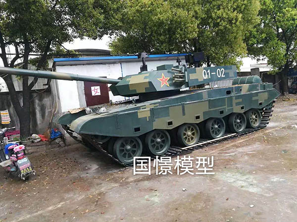 龙南县军事模型