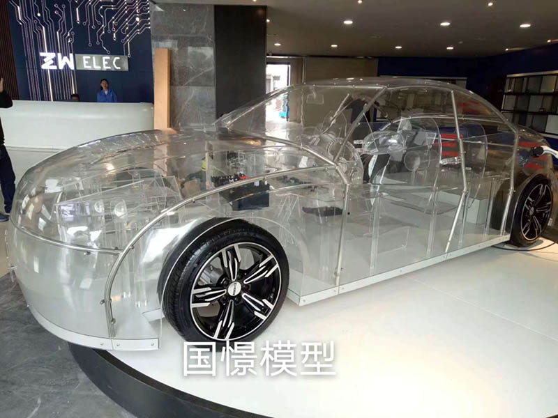 龙南县透明车模型