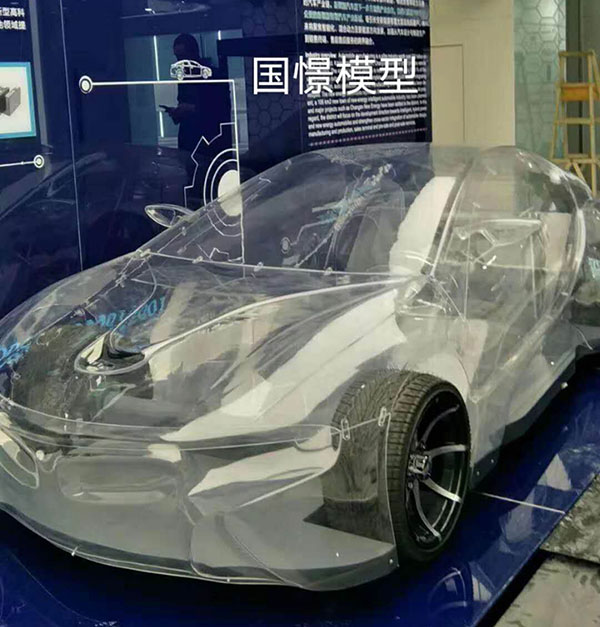 龙南县透明车模型