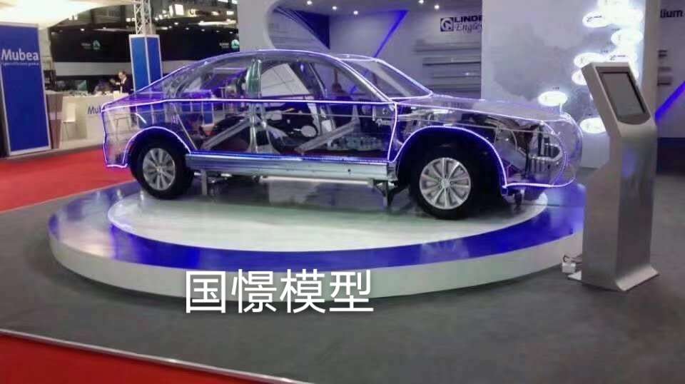 龙南县透明车模型
