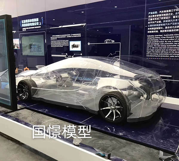 龙南县透明车模型