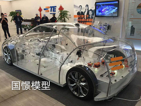 龙南县透明车模型